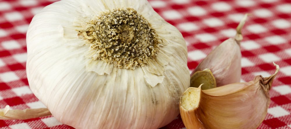 Garlic cloves sitting on a checkered table cloth
