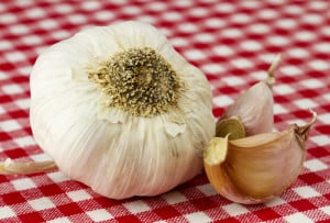 common causes of bad breath
