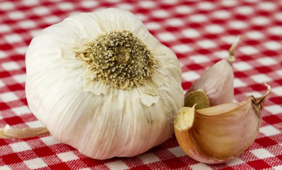 Garlic cloves sitting on a checkered table cloth