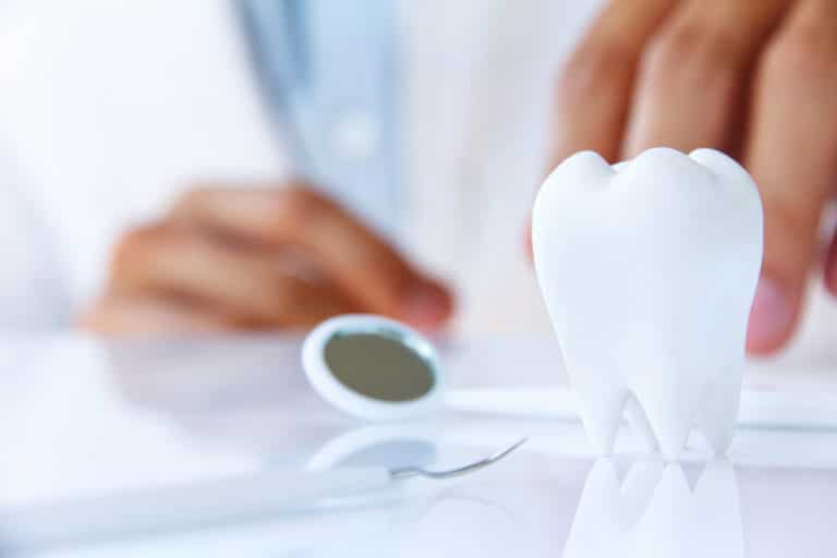dentist holding molar