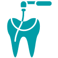 Root Canals